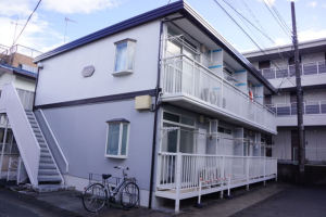 �m�o�r���[���C